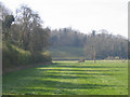 TQ0308 : Field shadows near Burpham by Stephen Craven