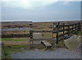 SE0506 : Footpath over Wessenden Moor by michael ely