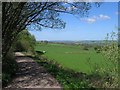 NZ0747 : The Waskerley Way cycle path by Roger Smith