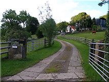  : Lower Little Beili Glas Farm by Carol Rose