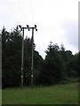 ST6562 : Electricity lines entering Common Wood by HelenK