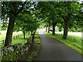  : Country road at Pitcarmick by Chris Eilbeck