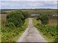 SU1901 : Track from Dur Hill Inclosure, New Forest by Jim Champion