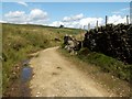 SE0907 : On the bend in Nether Lane by John Fielding