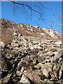 SD2296 : Looking up the steep screes of Wallowbarrow Gorge by Andrew Hill