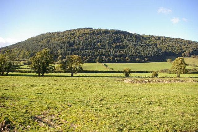 Countryside near Meifod