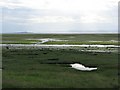 NT4780 : Aberlady Bay by Richard Webb