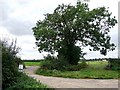  : Farm road at Roughton by Dave Hitchborne