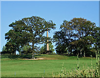  : Hilltop Obelisk Thornhill Park by Mike Searle