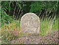 NY6394 : Spooky Well by Peter McDermott