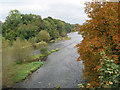 SO2242 : River Wye flowing downstream by Pauline E