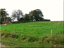  : Cutting the corner of Roger's Hill Farm, near Bere Regis, Dorset by Brian Robert Marshall