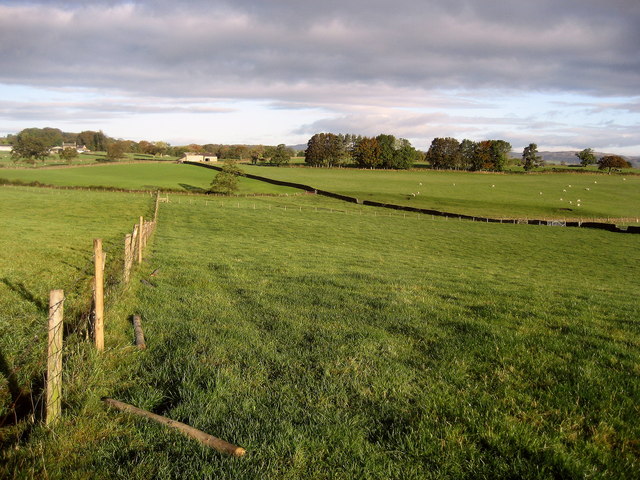 Ribble Way approaching Hollow Gill