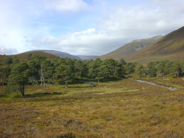 West of Derry Lodge