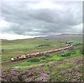  : Heather on Garsdale Common by Don Burgess