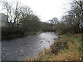 SD8163 : River Ribble, Settle by Chris Heaton