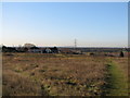 TQ5690 : Tylers Common, London Borough of Havering by Andrew Jones