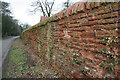 SK5042 : Wall on Main Street, Strelley by Kate Jewell