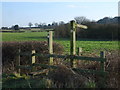 SO8496 : Staffs Way Stile by Gordon Griffiths