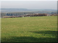 SS2719 : Pasture on Summerwell Moor by David Hawgood