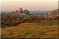 SY9580 : Bowl barrow on Corfe Common by Jim Champion