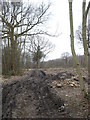  : Woodland being cleared near Rodmersham Cricket Club by pam fray