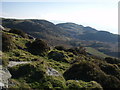  : View towards Barmouth by David Bowen