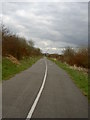 SJ2990 : Community Woodland at Bidston Moss. by David Quinn