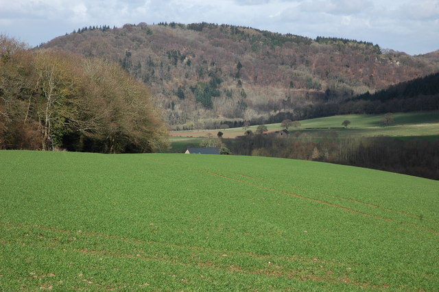 The Wye Valley near Monmouth