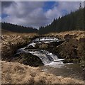 SN8060 : Rapids in the Nant Gwinau by Rudi Winter