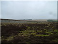  : Limestone outcrops on Coalpit Hill by David Brown