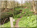 TM3568 : Footpath to the A1120 Hackney Road by Geographer