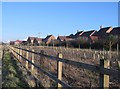 SU6354 : Rear view of housing in Hewitt Road by Mr Ignavy