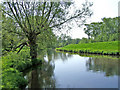 SO8378 : Staffs & Worcs Canal in Springfield Park by P L Chadwick