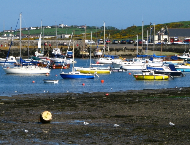 Groomsport Harbour [6]