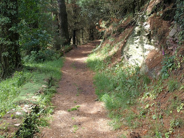 South West Coast Path on The Warren