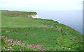 TA2173 : Dykes End, Bempton by Paul Glazzard