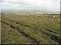  : Mountainside field above the Llynfi Valley by eswales