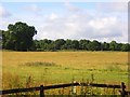 SU7971 : Meadow, Hurst by Andrew Smith