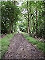 SU7589 : Woodland track from Southend into Stonor Park by David Hawgood