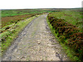 NZ6301 : Towards Dale Head by Peter Church