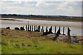 TQ8085 : Old Jetty, Hadleigh Marshes by Trevor Harris