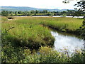 NS3976 : Mains of Cardross Canal by Lairich Rig