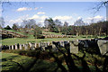 SJ9815 : German War Cemetery by Row17