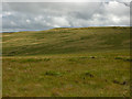 SN9170 : Bog on Blaen Fign by Nigel Brown