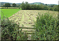 SO8026 : Footpath from Foscombe Hill by Pauline E