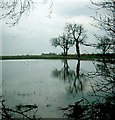 SE6417 : Sykehouse floods by Gerald England