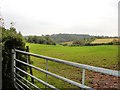 SJ5571 : Norley - view of Delamere Forest from near Wickentree Farm by Mike Harris