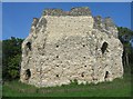 SU7251 : St John's Castle - post conservation work by Mr Ignavy