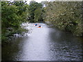 TM0533 : Canoes on River Stour by Geographer